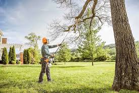 Best Stump Grinding and Removal  in Short Pump, VA