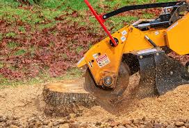 Best Lawn Renovation and Restoration  in Short Pump, VA