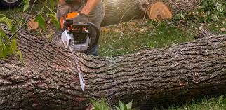 Lawn Drainage Solutions in Short Pump, VA