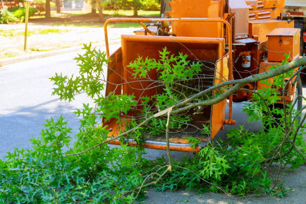 Best Arborist Consultation Services  in Short Pump, VA