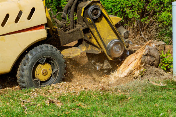 Best Lawn Mowing  in Short Pump, VA