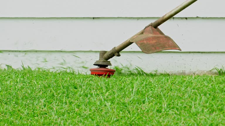 Best Lawn Irrigation Installation and Maintenance  in Short Pump, VA