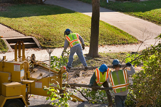  Short Pump, VA Tree Services Pros