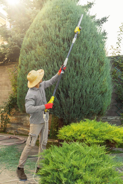 Best Grass Overseeding  in Short Pump, VA